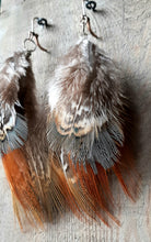Load image into Gallery viewer, Copper and blue, natural pheasant feather earrings