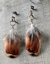 Load image into Gallery viewer, Copper and gold, natural pheasant feather earrings