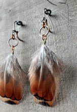 Load image into Gallery viewer, Copper and gold, natural pheasant feather earrings