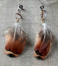 Load image into Gallery viewer, Copper and gold, natural pheasant feather earrings