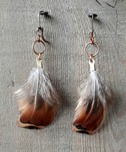 Load image into Gallery viewer, Copper and gold, natural pheasant feather earrings