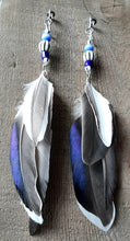Load image into Gallery viewer, Natural Drake Mallard feather earrings with blue beads
