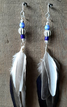 Load image into Gallery viewer, Natural Drake Mallard feather earrings with blue beads