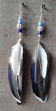 Load image into Gallery viewer, Natural Drake Mallard feather earrings with blue beads