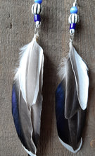 Load image into Gallery viewer, Natural Drake Mallard feather earrings with blue beads