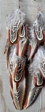 Load image into Gallery viewer, Natural, long Pheasant feather earrings
