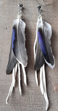 Load image into Gallery viewer, Natural Mallard feather earrings with white leather
