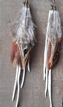 Load image into Gallery viewer, Natural Pheasant feather earrings with white leather
