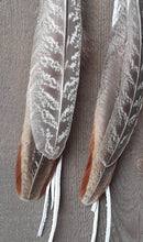 Load image into Gallery viewer, Natural Pheasant feather earrings with white leather
