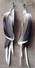 Load image into Gallery viewer, Natural Duck feather earrings with white leather
