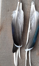 Load image into Gallery viewer, Natural Duck feather earrings with white leather
