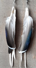 Load image into Gallery viewer, Natural Duck feather earrings with white leather
